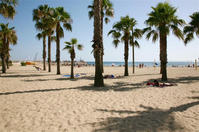 Sun And Beach Lovers 12019 La Pineda Ngoại thất bức ảnh