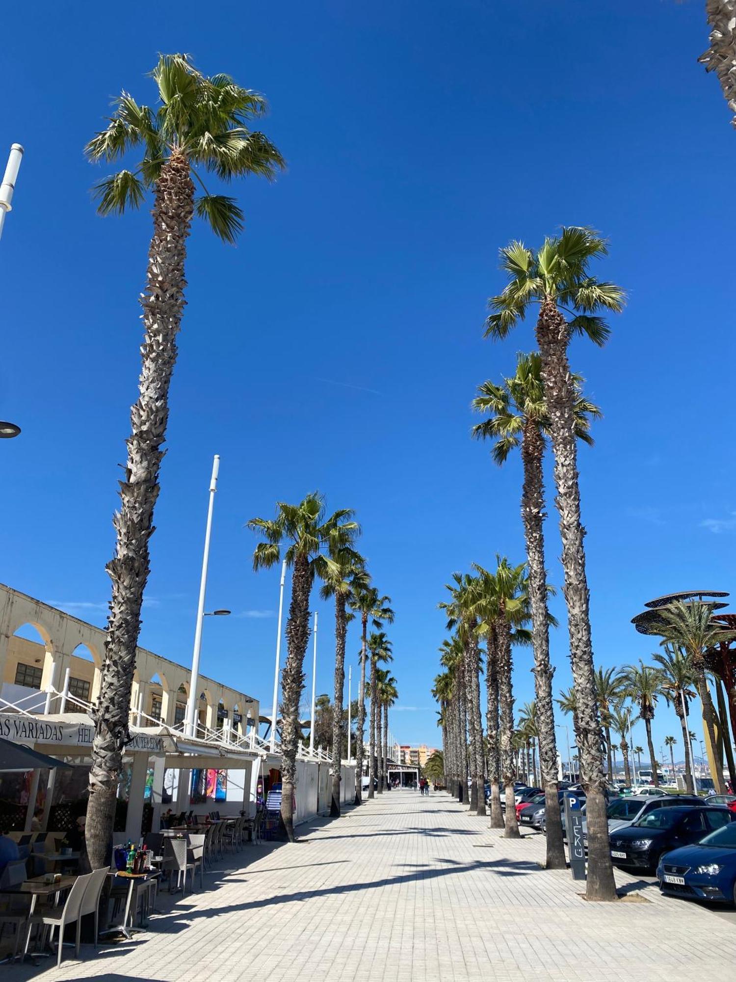 Sun And Beach Lovers 12019 La Pineda Ngoại thất bức ảnh